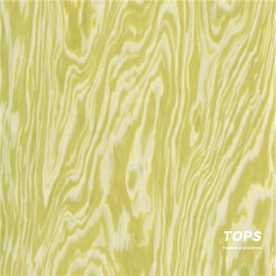 Vrhunska dizajnerska serija od drvenog furnira za arhitekturu